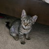 Baby - Photo 7