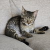 Baby - Photo 9