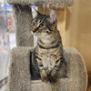 Baby - Photo 6