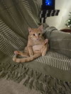 Ralphie - Photo 5