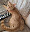 Ralphie - Photo 3