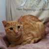 Ralphie - Photo 4