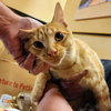 Ralphie - Photo 11