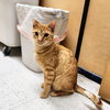 Ralphie - Photo 12