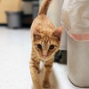 Ralphie - Photo 9