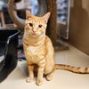 Ralphie - Photo 8
