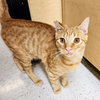 Ralphie - Photo 7