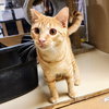 Ralphie - Photo 10