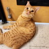 Ralphie - Photo 2