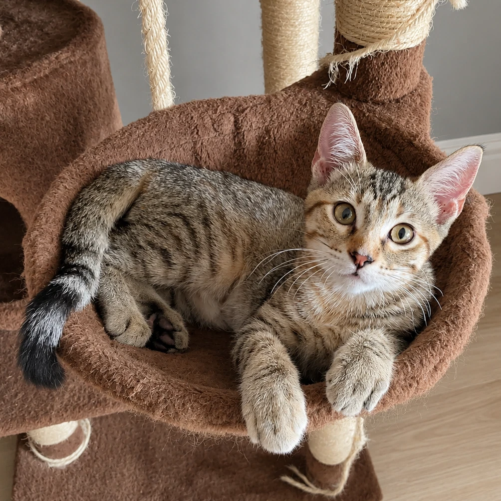 Leeloo