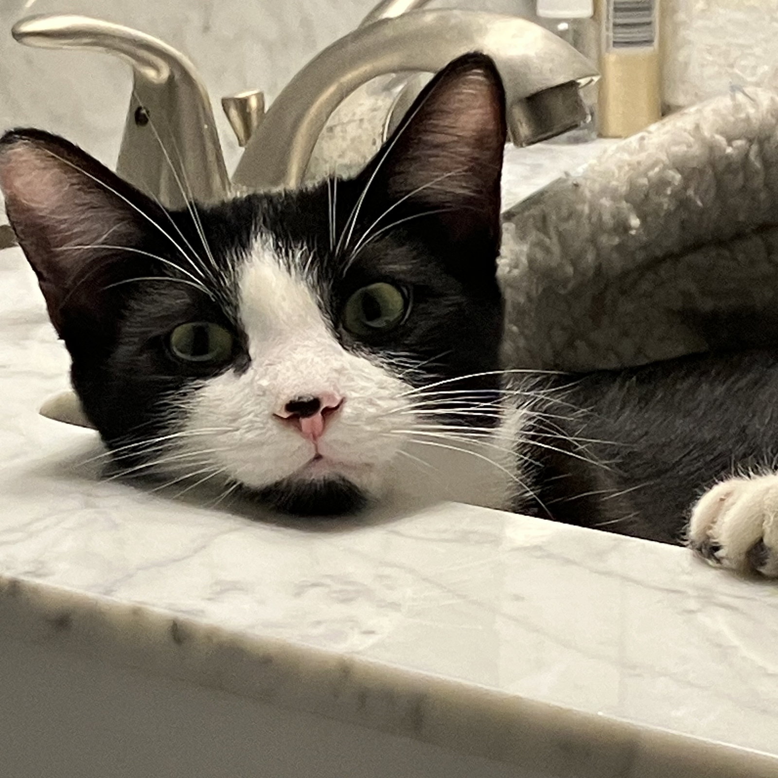 Benji