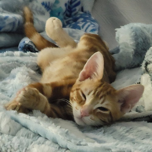 Photo 5 of Fred