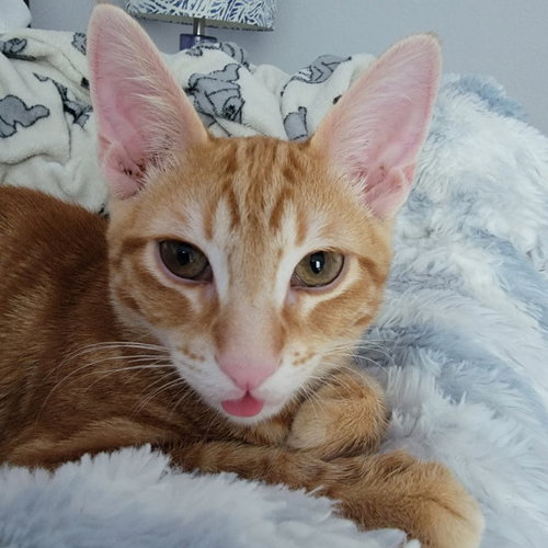 Photo 6 of Fred