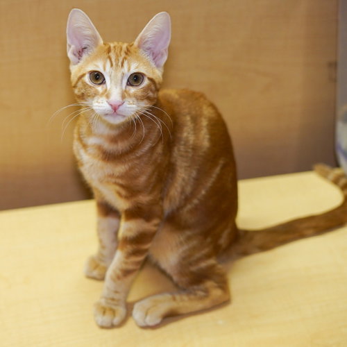Photo 3 of Fred