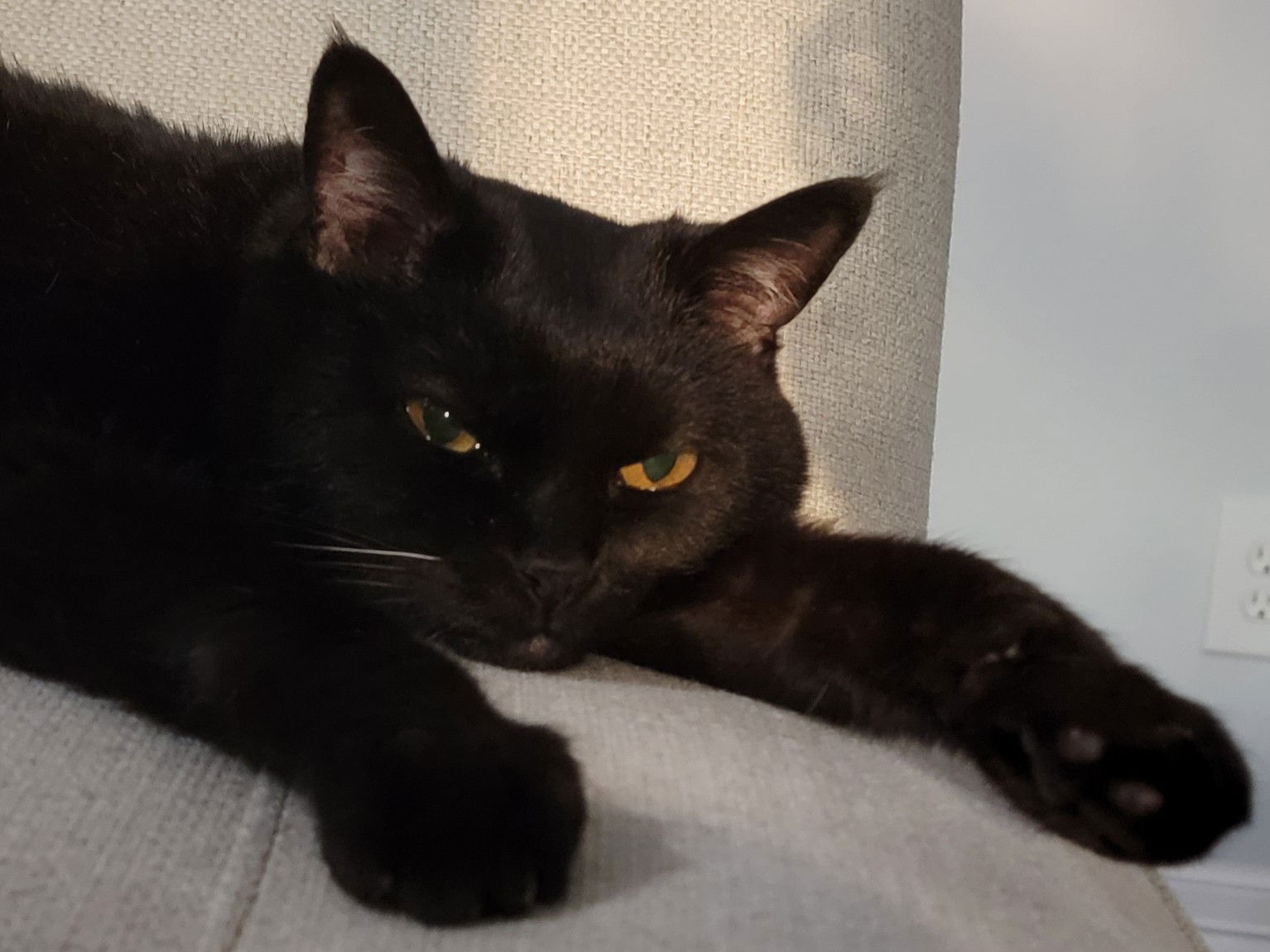 Jax
