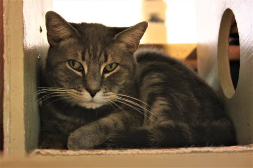Photo 5 of Ryder