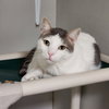 Riggs - Photo 4