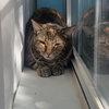 Theodora - Photo 2