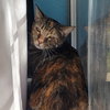 Theodora - Photo 3