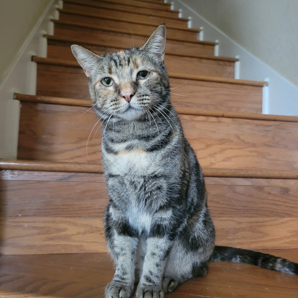 Theodora Image
