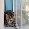 Theodora - Photo 3