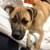 Wally VI - Photo 2