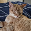 Cuddlebug - Photo 3