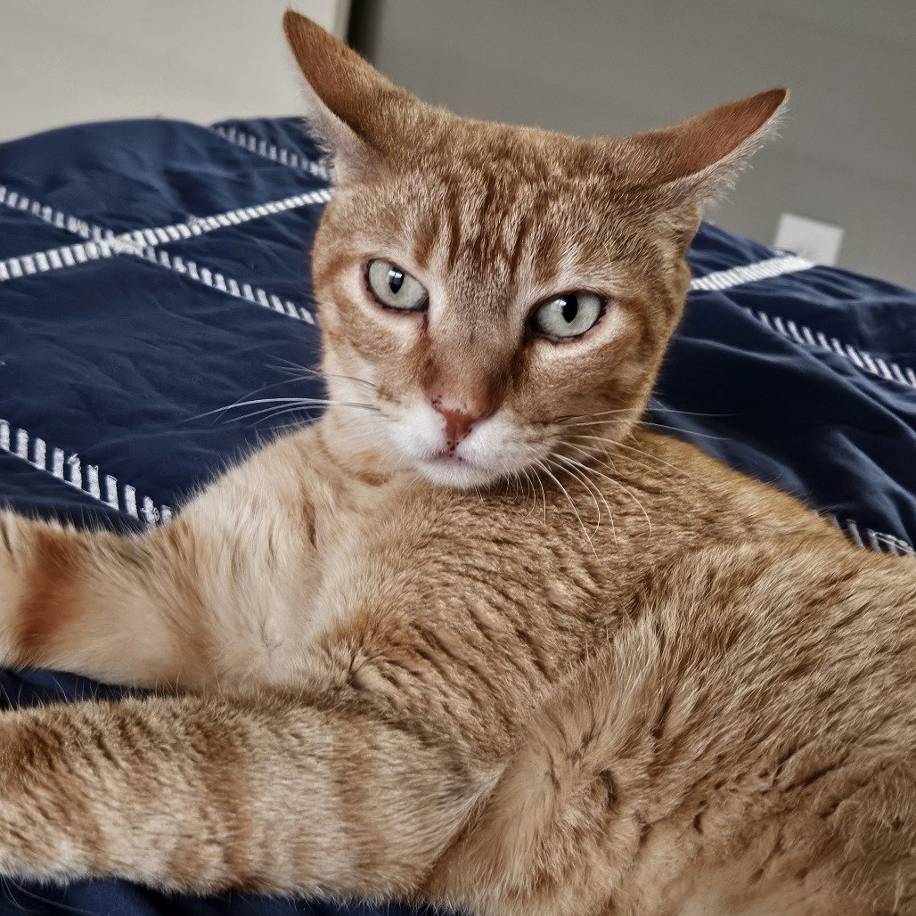 Cuddlebug, photo 3
