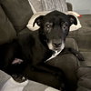 Melvin - Photo 1