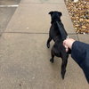 Melvin - Photo 2