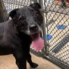 Melvin - Photo 3