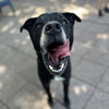 Melvin - Photo 4