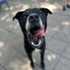 Melvin - Photo 3