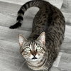 Lucy - Photo 1
