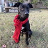 Boo - Photo 1