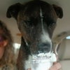 Jack Barkley - Photo 2