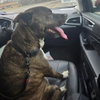 Jack Barkley - Photo 4
