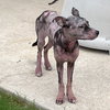 Maxine - Photo 3