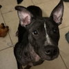Maxine - Photo 2