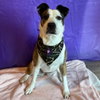 Maggie - Photo 1