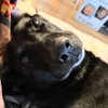Luna Bell - Photo 1