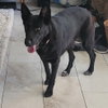 Luna Bell - Photo 3