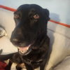 Luna Bell - Photo 4