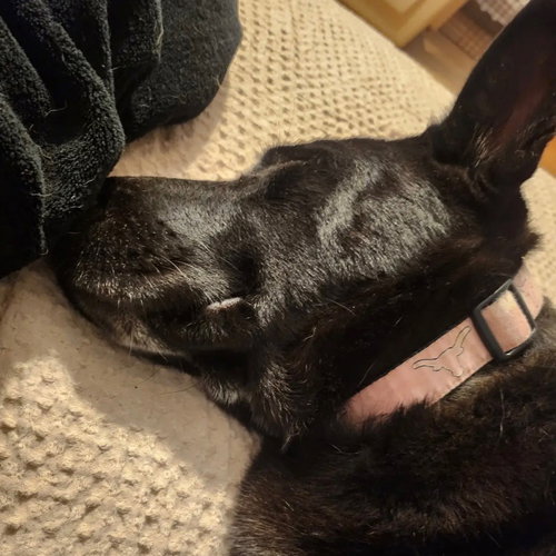 Luna Bell photo 1