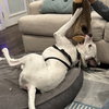 Randy - Photo 3
