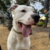 Randy - Photo 4