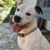 Randy - Photo 1