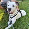 Randy - Photo 2