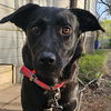 Dolly - Photo 2