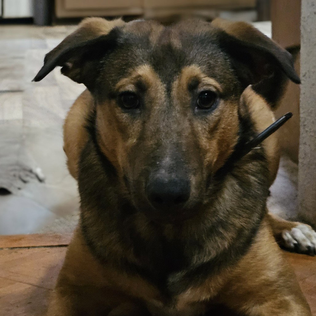 Buster Image